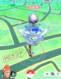 |PGo
